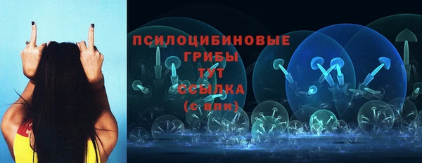дживик Володарск