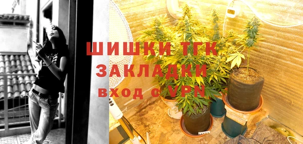 дживик Володарск